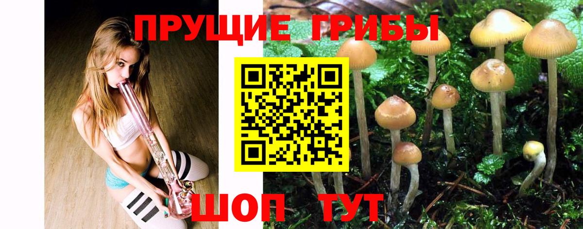 Галлюциногенные грибы MAGIC MUSHROOMS  купить наркотик  Зеленокумск  Псилоцибиновые грибы мицелий  Вход с VPN 